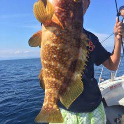 シーモンキー 釣果