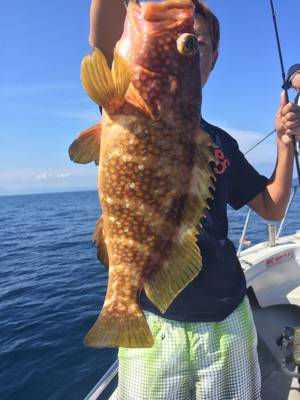 シーモンキー 釣果