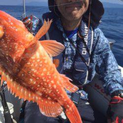 シーモンキー 釣果