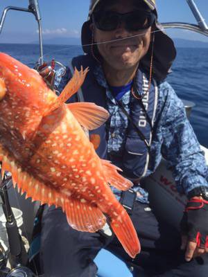 シーモンキー 釣果