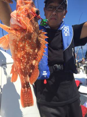 シーモンキー 釣果