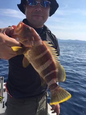 シーモンキー 釣果