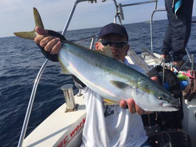 シーモンキー 釣果