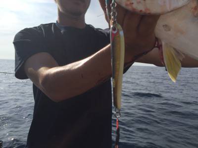 シーモンキー 釣果