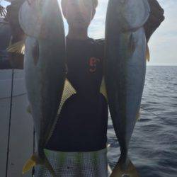 シーモンキー 釣果