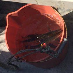 シーモンキー 釣果