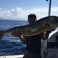 シーモンキー 釣果