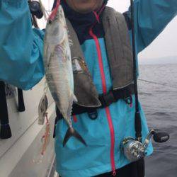 シーモンキー 釣果