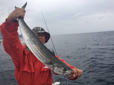 シーモンキー 釣果