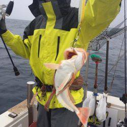 シーモンキー 釣果