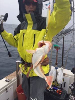 シーモンキー 釣果