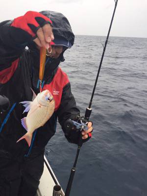 シーモンキー 釣果