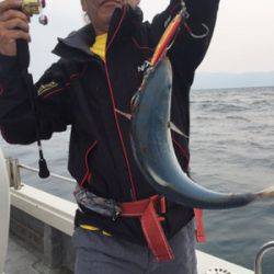 シーモンキー 釣果