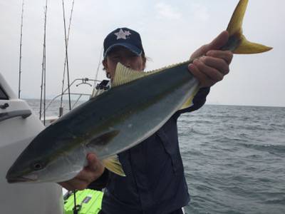 シーモンキー 釣果