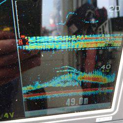 遊漁船ブルーウッズ 釣果