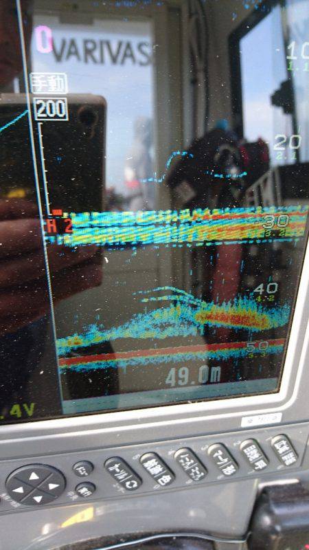 遊漁船ブルーウッズ 釣果