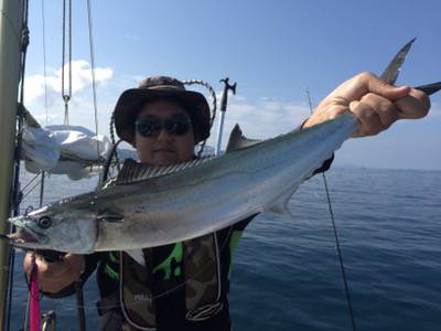 シーモンキー 釣果