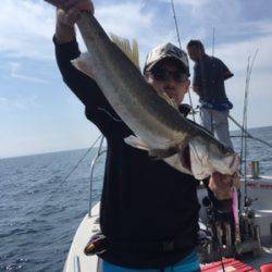 シーモンキー 釣果