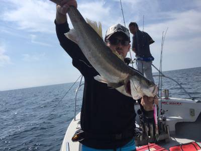 シーモンキー 釣果