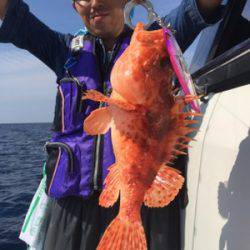 シーモンキー 釣果