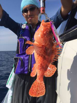 シーモンキー 釣果