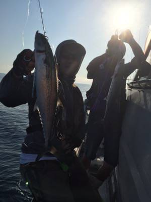 シーモンキー 釣果