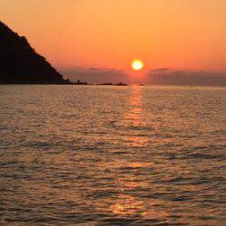 シーモンキー 釣果