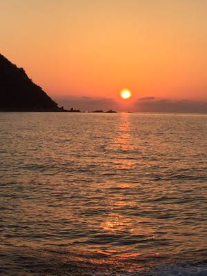 シーモンキー 釣果