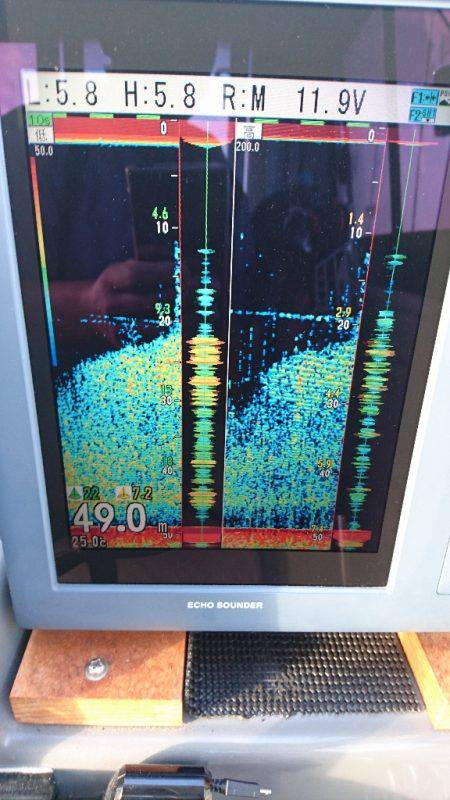 遊漁船ブルーウッズ 釣果