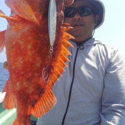 遊漁船 新鋭丸 釣果