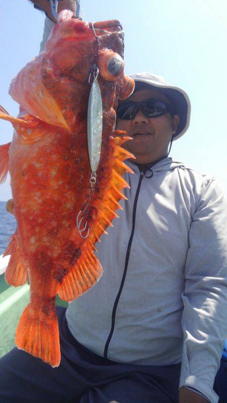 遊漁船 新鋭丸 釣果