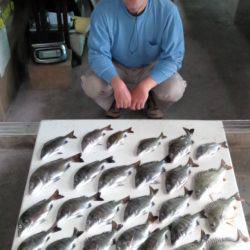 ふじや釣舟店 釣果