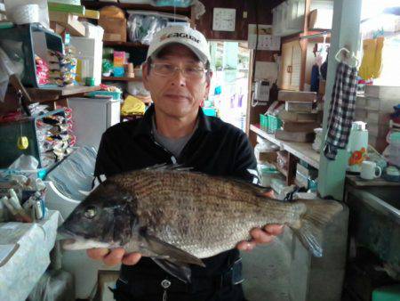 ふじや釣舟店 釣果