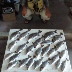 ふじや釣舟店 釣果