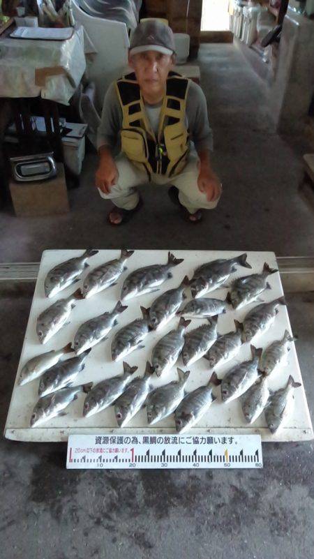 ふじや釣舟店 釣果