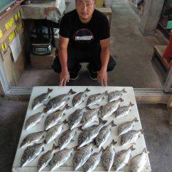 ふじや釣舟店 釣果