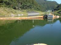 秩父フライフィールド 釣果