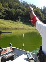 秩父フライフィールド 釣果