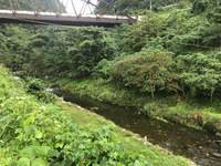 秩父フライフィールド 釣果