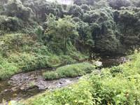 秩父フライフィールド 釣果