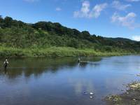 秩父フライフィールド 釣果