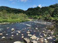 秩父フライフィールド 釣果