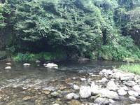 秩父フライフィールド 釣果