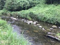 秩父フライフィールド 釣果