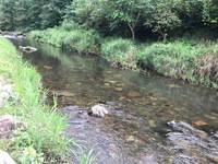 秩父フライフィールド 釣果