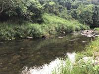 秩父フライフィールド 釣果