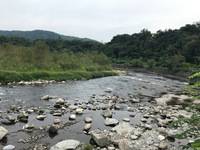 秩父フライフィールド 釣果