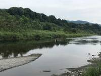 秩父フライフィールド 釣果