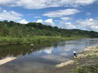 秩父フライフィールド 釣果