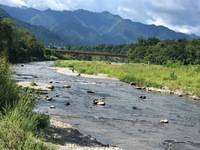 秩父フライフィールド 釣果